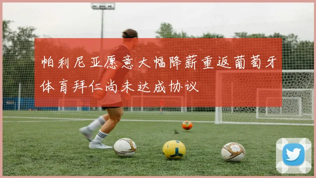 帕利尼亚愿意大幅降薪重返葡萄牙体育拜仁尚未达成协议