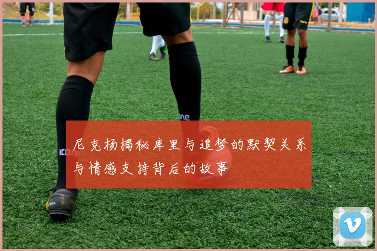 尼克杨揭秘库里与追梦的默契关系与情感支持背后的故事