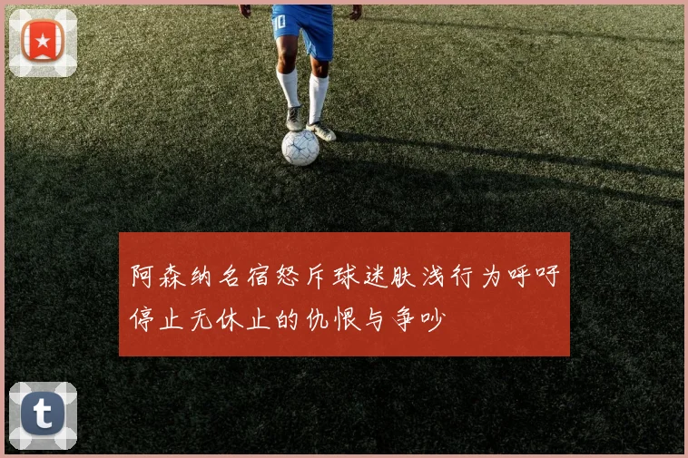 阿森纳名宿怒斥球迷肤浅行为呼吁停止无休止的仇恨与争吵