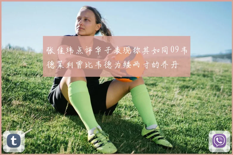 张佳玮点评华子表现称其如同09韦德莱利曾比韦德为矮两寸的乔丹